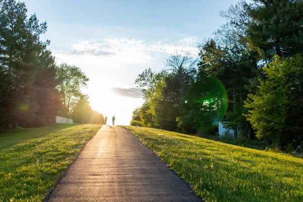 Cost of Asphalt Pathway Installation in North Myrtle Beach
