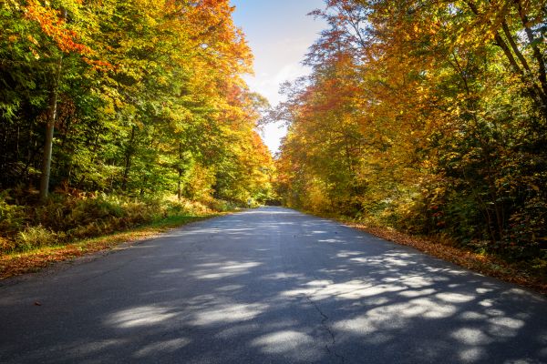 Cost of Blacktop Replacement in North Myrtle Beach